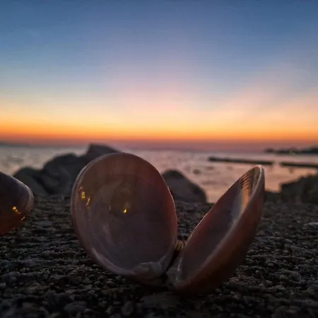 Dalmatino Pleasure Mobile - Two Bedroom Mobile With Terrace Privlaka (Zadar)