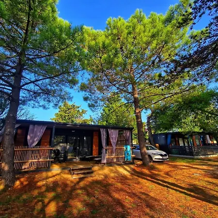 Dalmatino Pleasure Mobile - Two Bedroom Mobile With Terrace *