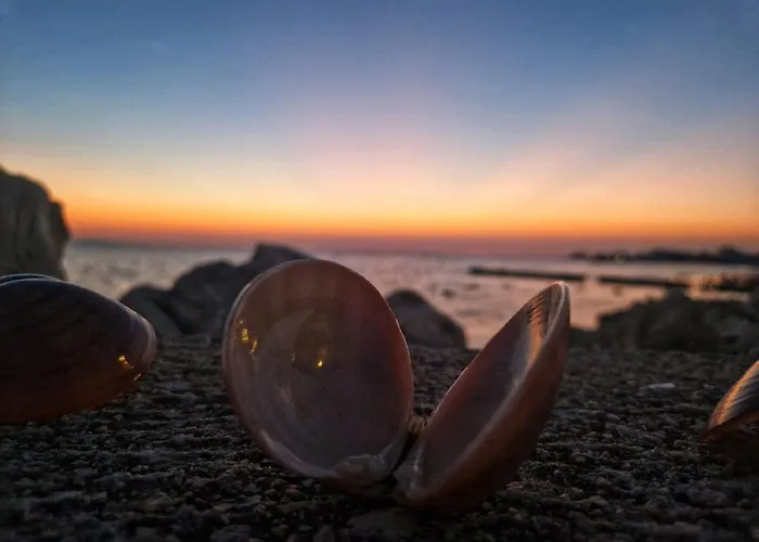 Dalmatino Pleasure Mobile - Two Bedroom Mobile With Terrace Privlaka (Zadar)